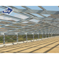 Automatic Environmental Controlled Steel Structure Poultry Farm Construction